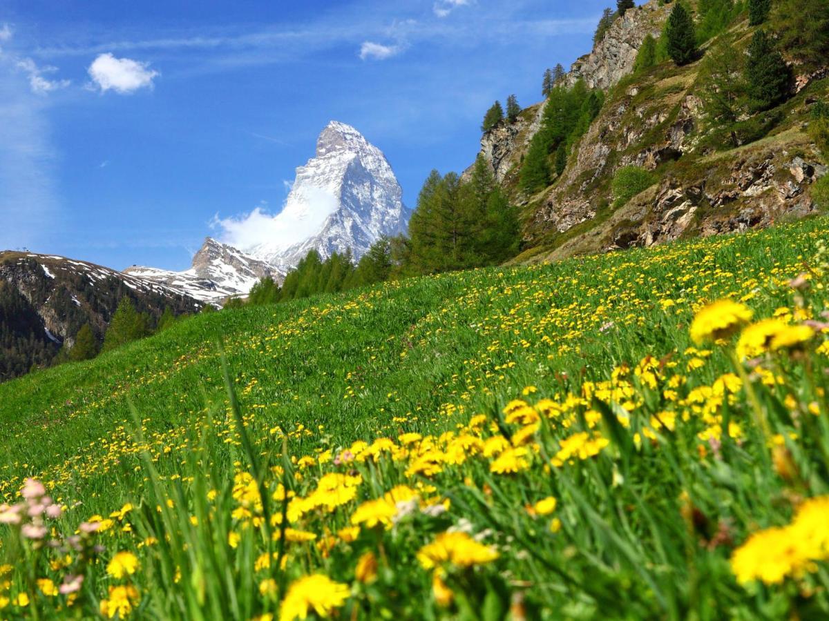 Apartment Silence-1 By Interhome Zermatt Ngoại thất bức ảnh